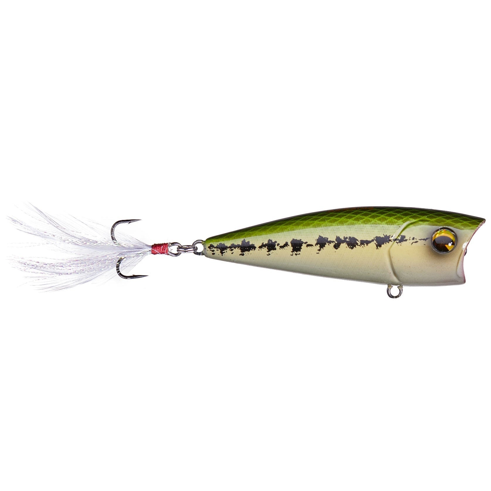 Ima Finesse Popper 65 - Topwater Fishing Lure for Bass, Trout & Saltwater - Perfect for Freshwater & Saltwater Fishing Adventures