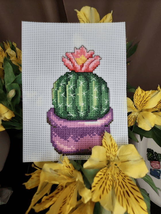 Cactus Counted Cross Stitch Kit - 108CS Embroidery Kit for Beginners, DIY Home Decor, Wall Art, Gift Idea for Plant Lovers