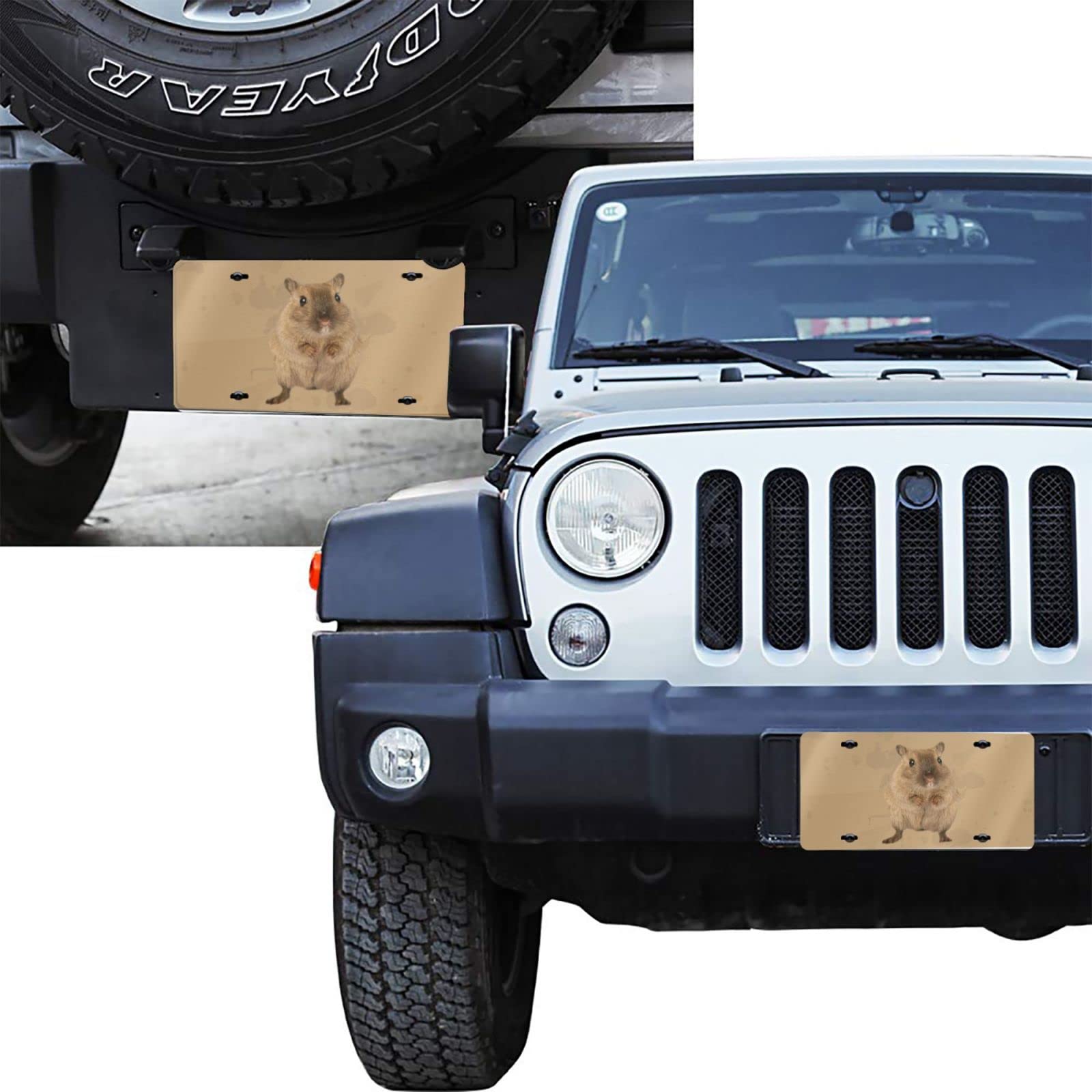 Funny Hamster Car License Plate - 6x12 Inch Aluminum Novelty Front Plate for Cars, Trucks & SUVs - Perfect Gift for Pet Lovers & Car Enthusiasts - Great for Road Trips, Car Shows & Personalizing Your Vehicle