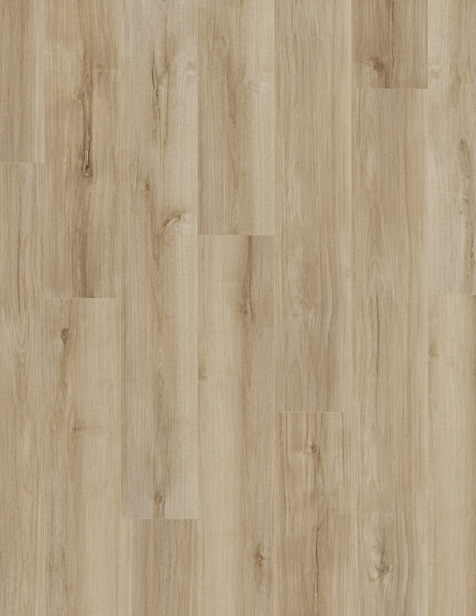 Coretec Pro Plus Enhanced Lucent Oak 7x48 Waterproof Luxury Vinyl Plank Flooring - Perfect for Living Room, Kitchen & High-Traffic Areas