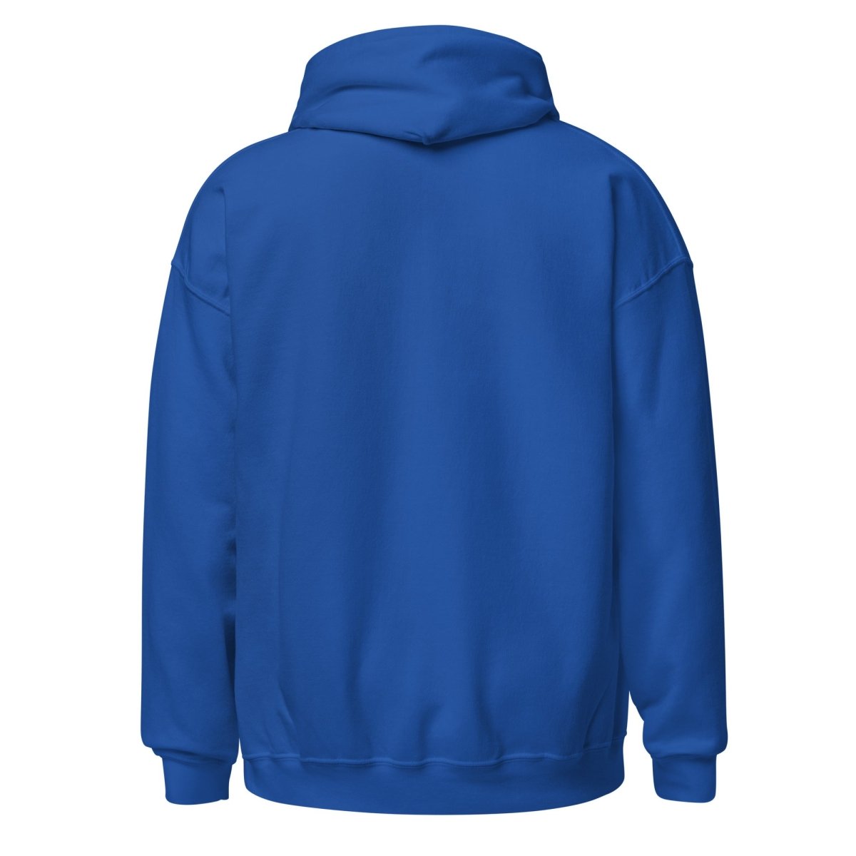 Because I Said I Would Hoodie - Motivational Accountability Sweatshirt for Men & Women | Recovery & Commitment Apparel | Perfect for Gyms, Meetings & Daily Inspiration