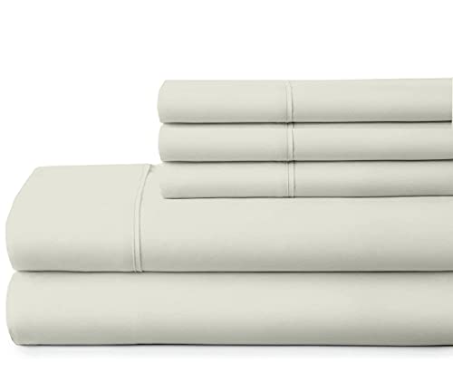 Ivory Solid