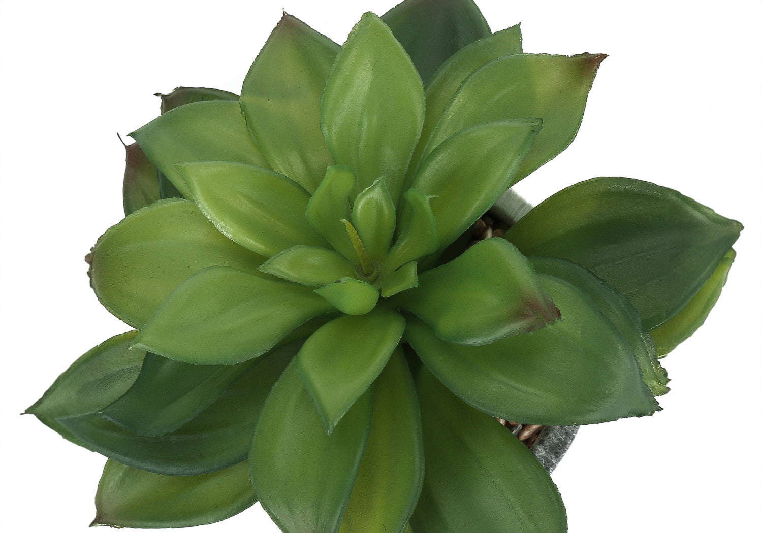7 Succulent Plants with 4 Marble-Look Pots - Green Set of 2 | Perfect for Home Decor, Office Desk & Gift Ideas
