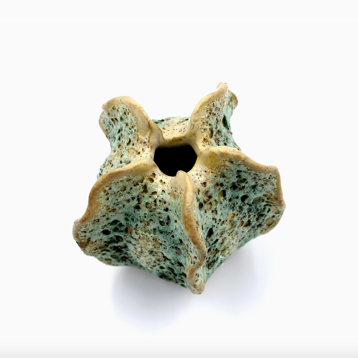 Handmade Eco-Friendly Loofah Mini Vase - Natural Green Decorative Planter for Succulents & Small Plants | Perfect for Home, Office, and Gift Giving