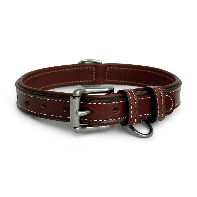 Rover Standard Dog Collar - Adjustable Nylon Pet Collar for Small Medium Large Dogs - Durable Reflective Stitching for Safety - Perfect for Walking, Training, and Outdoor Adventures