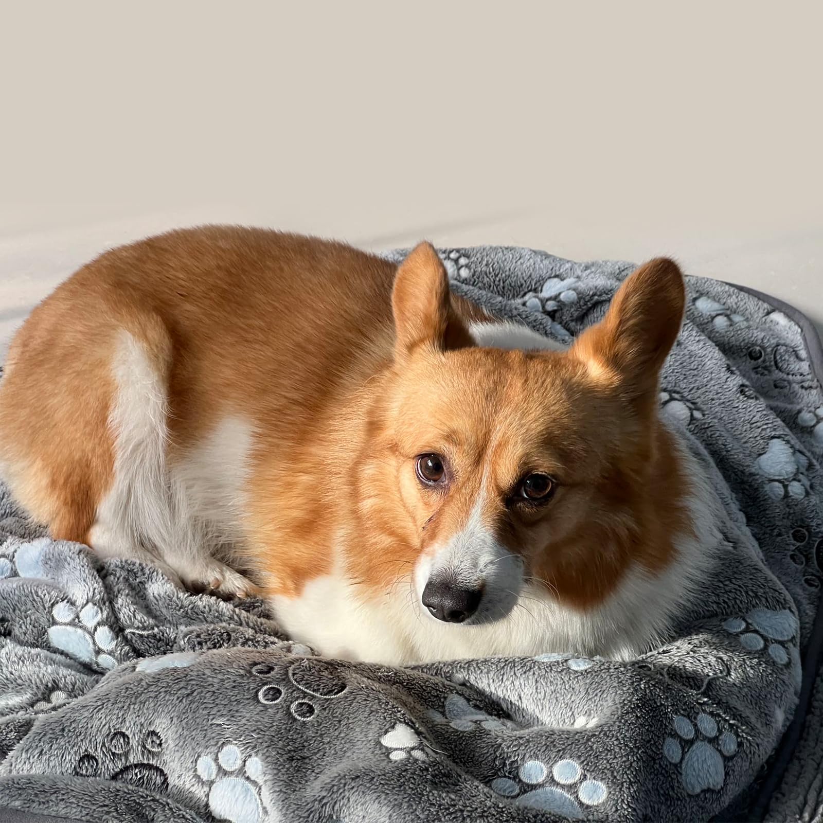 Waterproof Dog Blanket - Soft Washable Pet Blanket for Sofa & Car (40x30