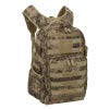 Desert Camo