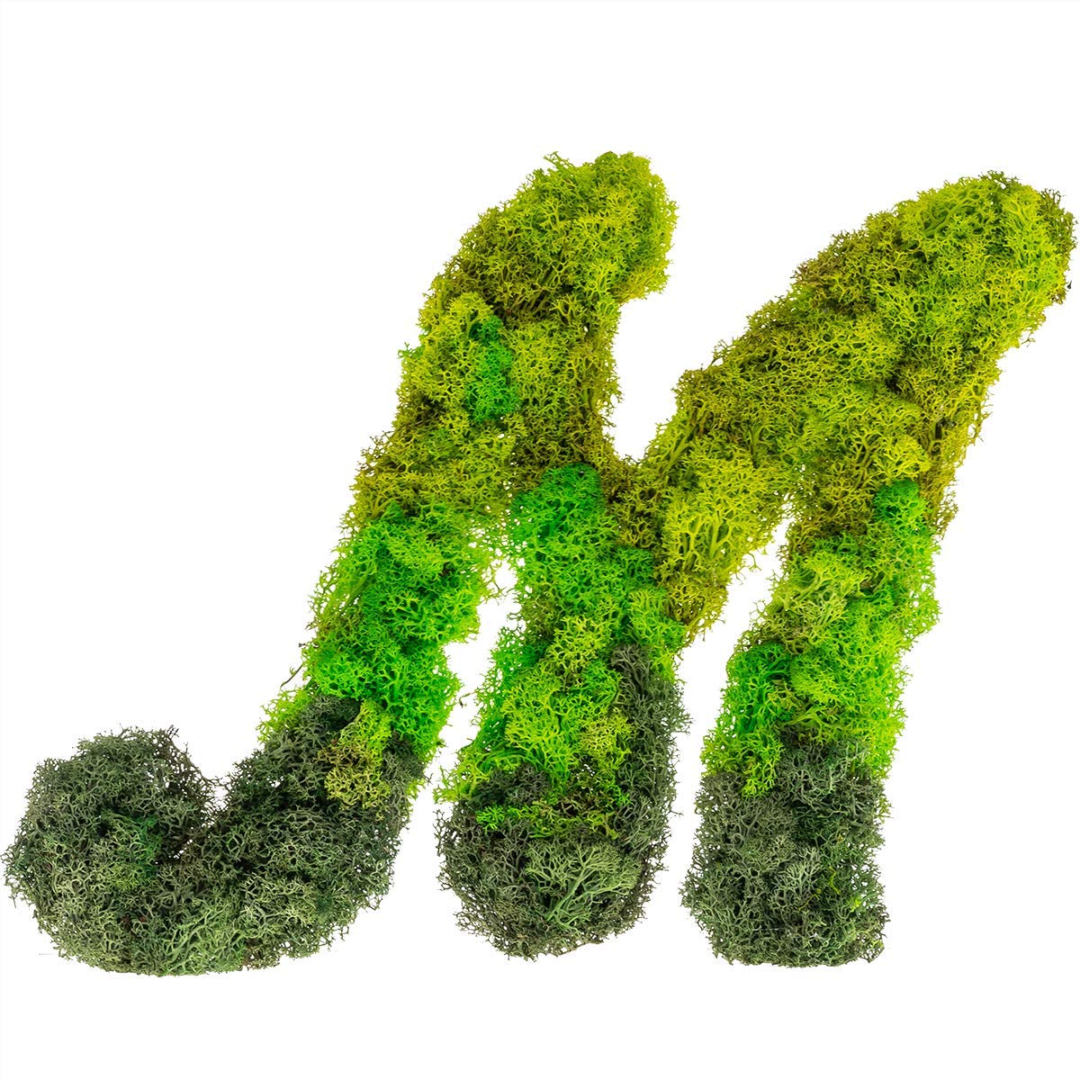 Custom Preserved Moss Monogram Initial Wall Art - Personalized Home Decor for Living Room, Bedroom & Office | Eco-Friendly Greenery Letter Design
