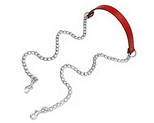 Red-silver Buckles