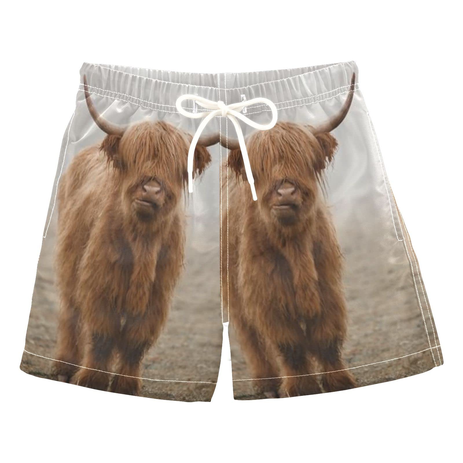 Adorable Scottish Highland Cow Boys Swim Trunks - Quick Dry Toddler Beach Shorts with UPF 50+ Sun Protection | Perfect for Pool, Beach & Summer Water Play (Size 2T)