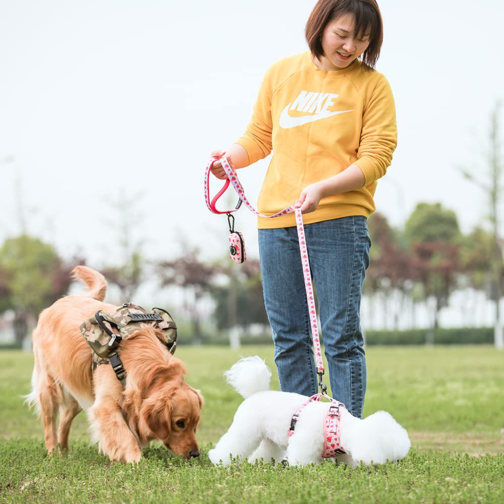 Coowone Adjustable Dog Harness and Leash Set - Soft Padded Vest Harness for Small, Medium & Large Dogs | Perfect for Walking, Training & Outdoor Adventures