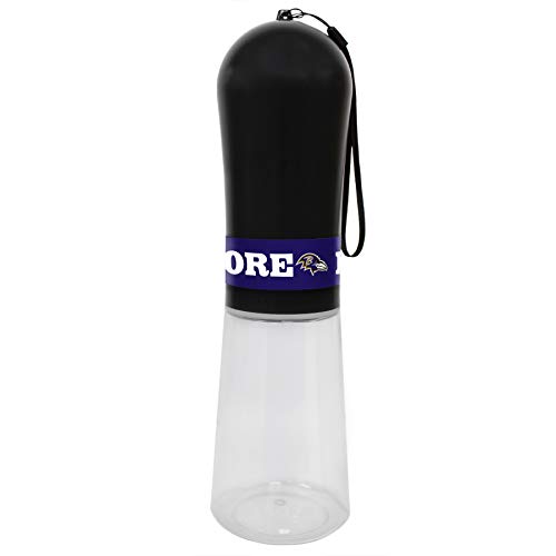 Baltimore Ravens