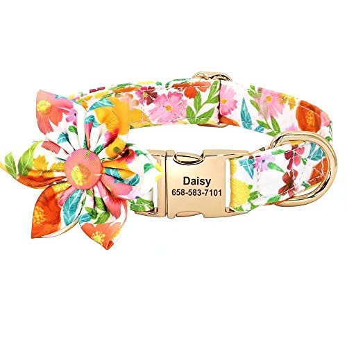 Floral-Colorful Flower