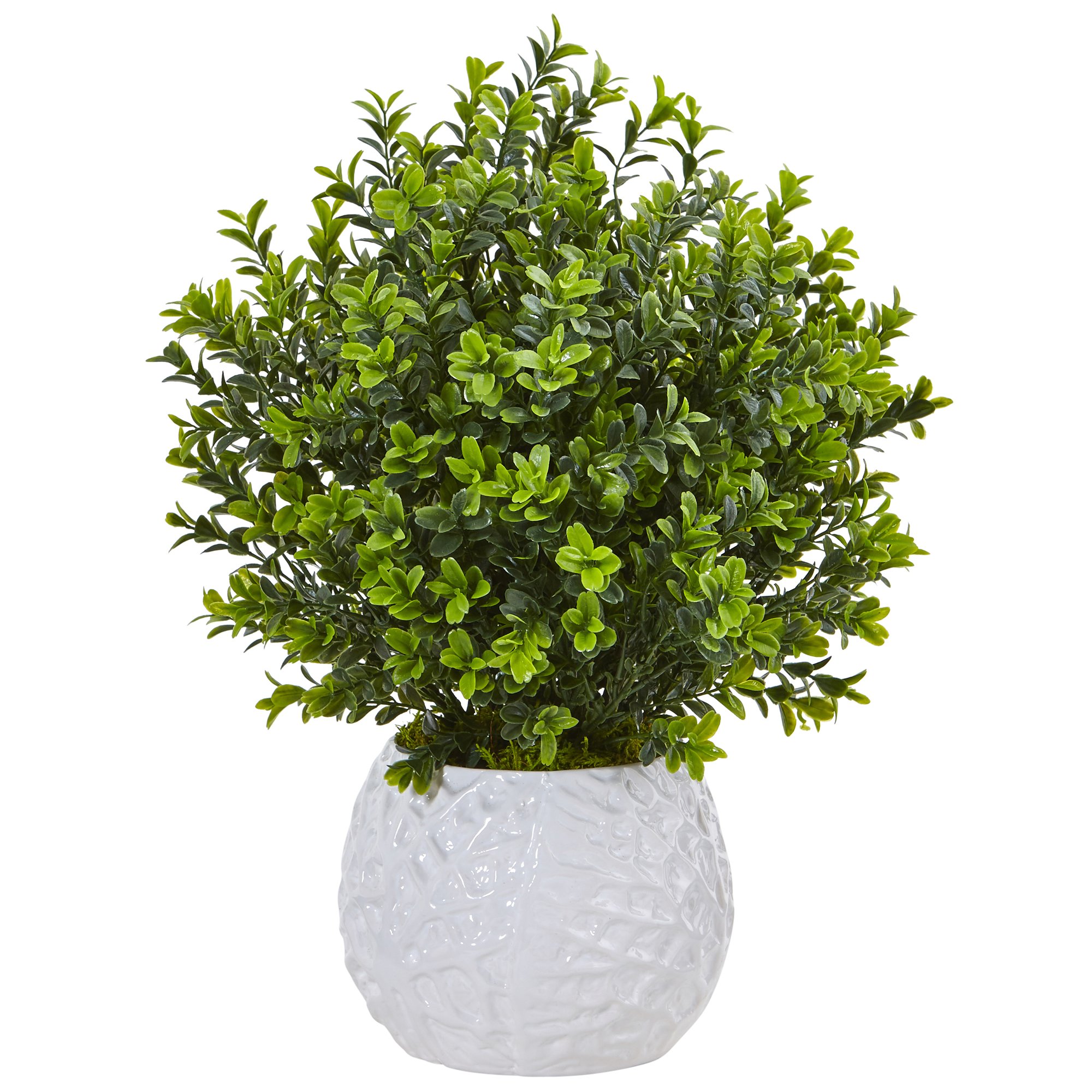 Nearly Natural Boxwood Evergreen Artificial Plant in White Vase - Indoor/Outdoor Fake Plant for Home, Office, Patio & Garden Decor - Perfect for Living Room, Porch, Wedding Centerpiece & Commercial Spaces