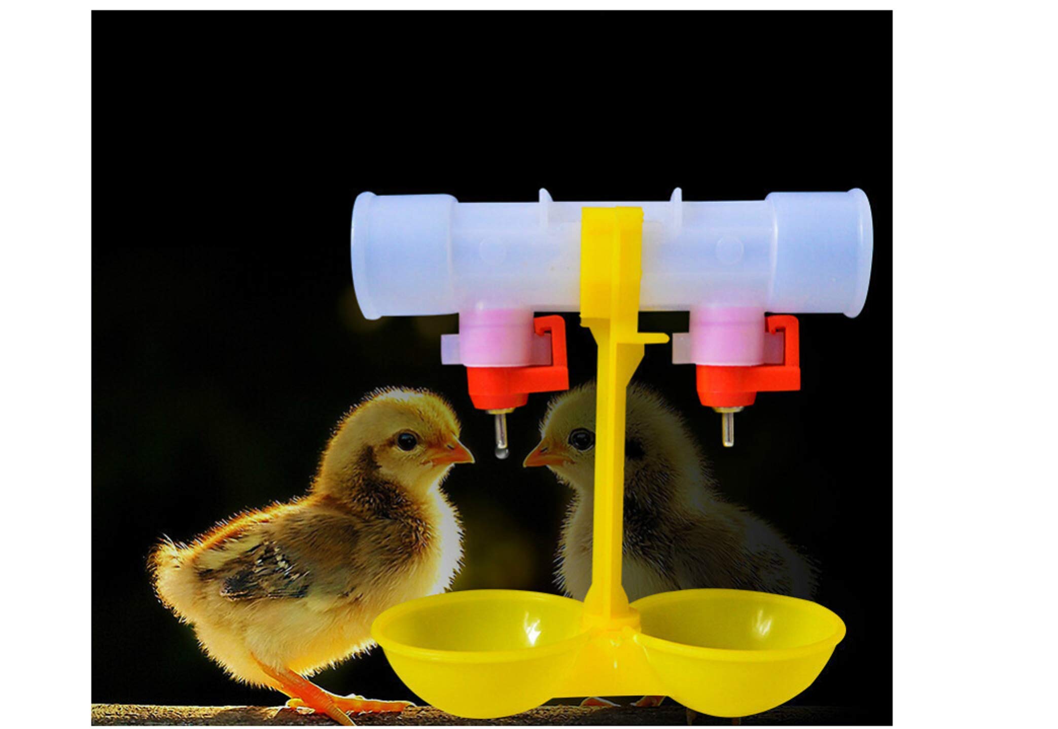 Stainless Steel T-Ball Poultry Drinker with Double Nipples - 4pcs Chicken & Duck Waterer for Coops (25mm/0.98'' Pipe Outlet) - Durable Hanging Cup Design for Easy Farm & Backyard Poultry Hydration
