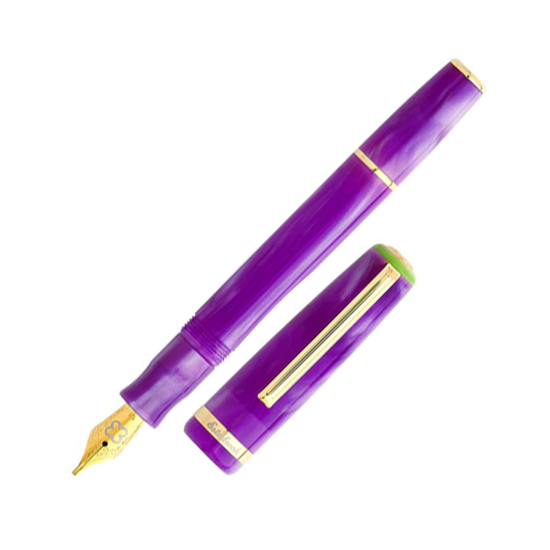 Esterbrook JR Pocket Fountain Pen - Purple Passion Ink, Compact & Portable for Everyday Writing, Journaling, and Note-Taking