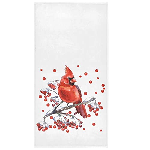 Cardinal Birds