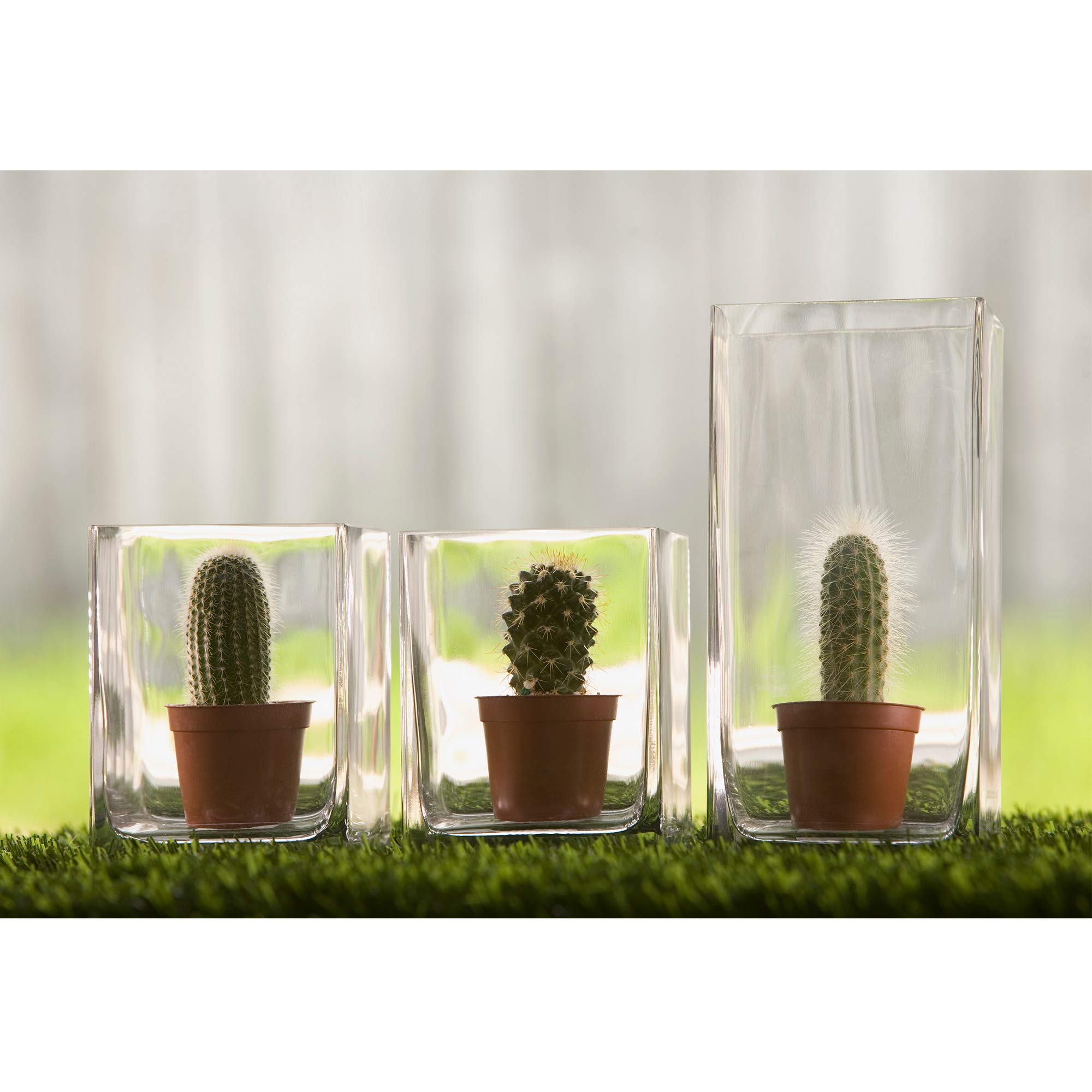 WGV Clear Glass Rectangle Block Vase Bulk - 3