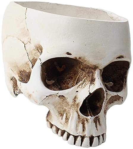 Skull Flower Pot - Resin Skull Shaped Planter for Succulents & Small Plants | Gothic Home & Office Desk Decor | Unique Gift for Halloween & Gothic Lovers