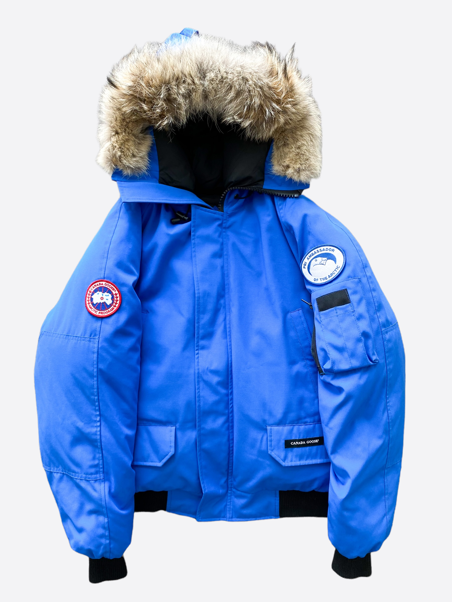 Canada Goose Royal PBI Blue Chilliwack Men's Bomber Jacket - Winter Parka for Cold Weather, Waterproof & Windproof - Perfect for Outdoor Activities, Skiing, and Urban Fashion