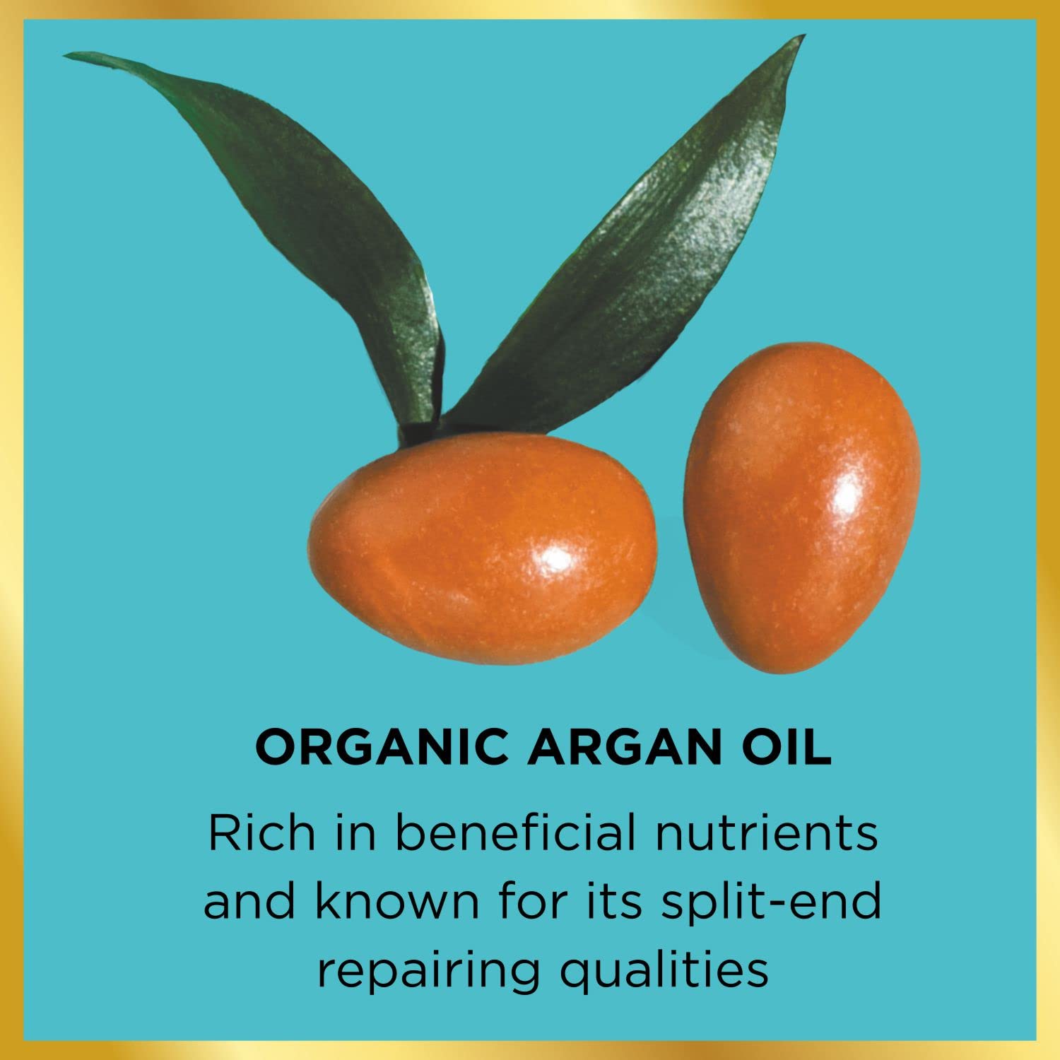 HASK Argan Oil Repairing Hair Oil 18ml - Strengthens & Restores Dry, Damaged Hair | Moroccan Argan Oil Treatment for Split Ends & Frizz | Perfect for Daily Hydration & Salon-Quality Shine