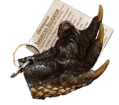 Authentic Alligator Claw Keychain - Real Gator Paw Key Ring for Men & Women | Unique New Orleans Voodoo Bayou Souvenir | Perfect for Keychains, Backpacks, and Cajun Style Gifts