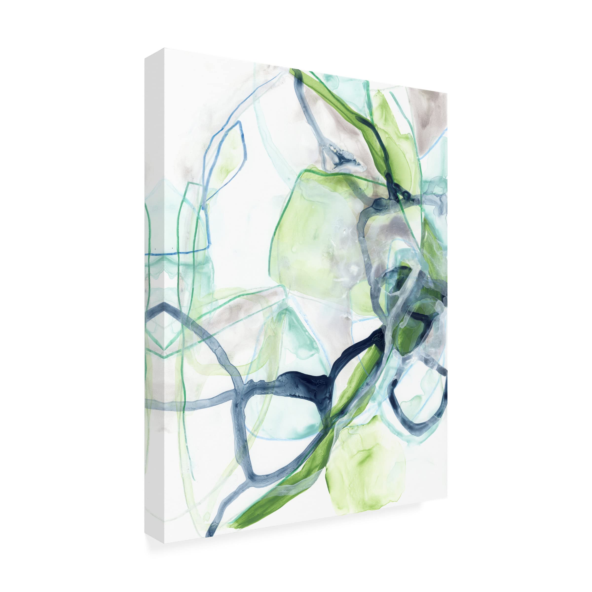 Trademark Fine Art 'Hive Cycle II' Canvas Wall Art Print by June Erica Vess - Modern Home Decor for Living Room, Bedroom & Office