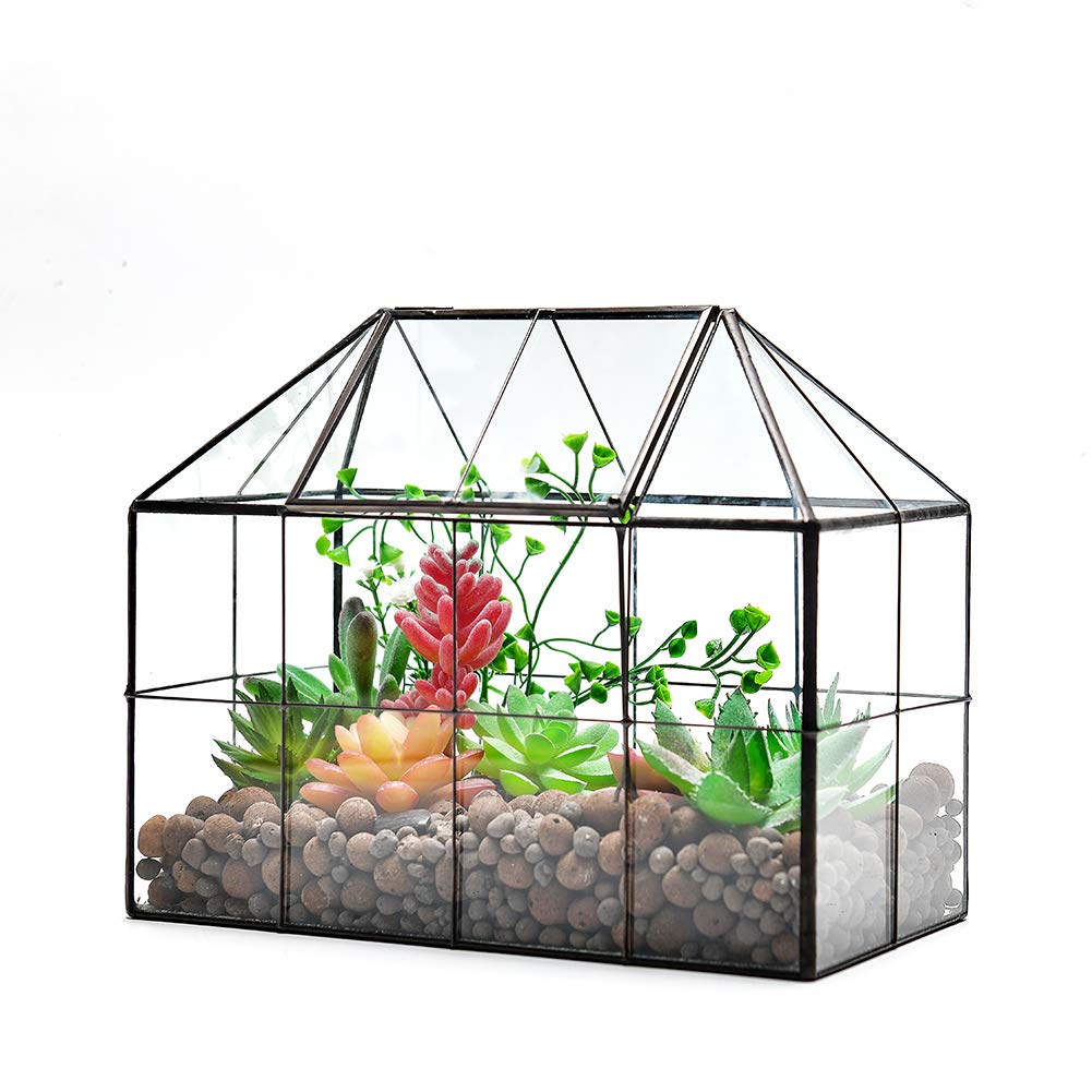 Large Glass Terrarium Planter for Succulents - 9.8