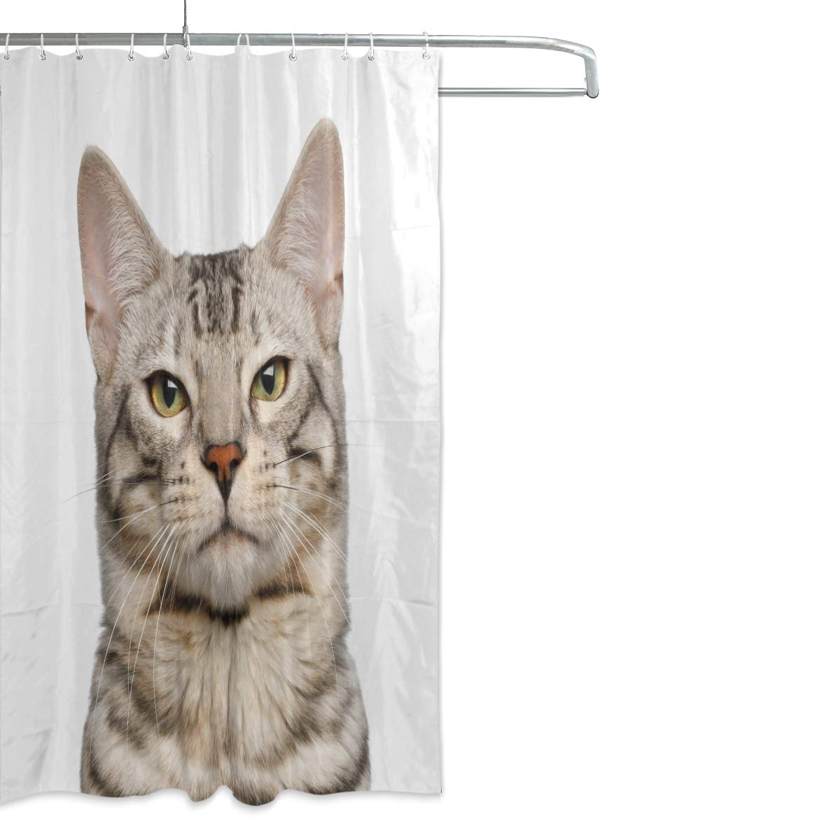 ALAZA Snow Bengal Cat Shower Curtain 66x72 Inch - Waterproof Polyester Bathroom Decor with Hooks - Perfect for Modern Bathrooms & Themed Home Decor