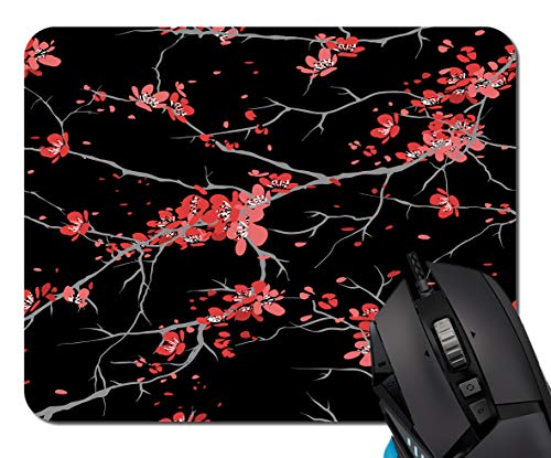 Cherry Blossoms
