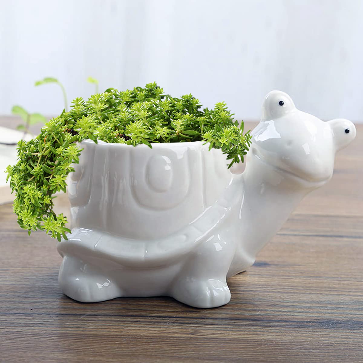 GeLive 5 Inch Tortoise Succulent Planter - Cute Turtle Shaped Flower Pot for Indoor/Outdoor Plants, Home & Garden Decor - Perfect for Succulents, Cacti, and Small Flowers