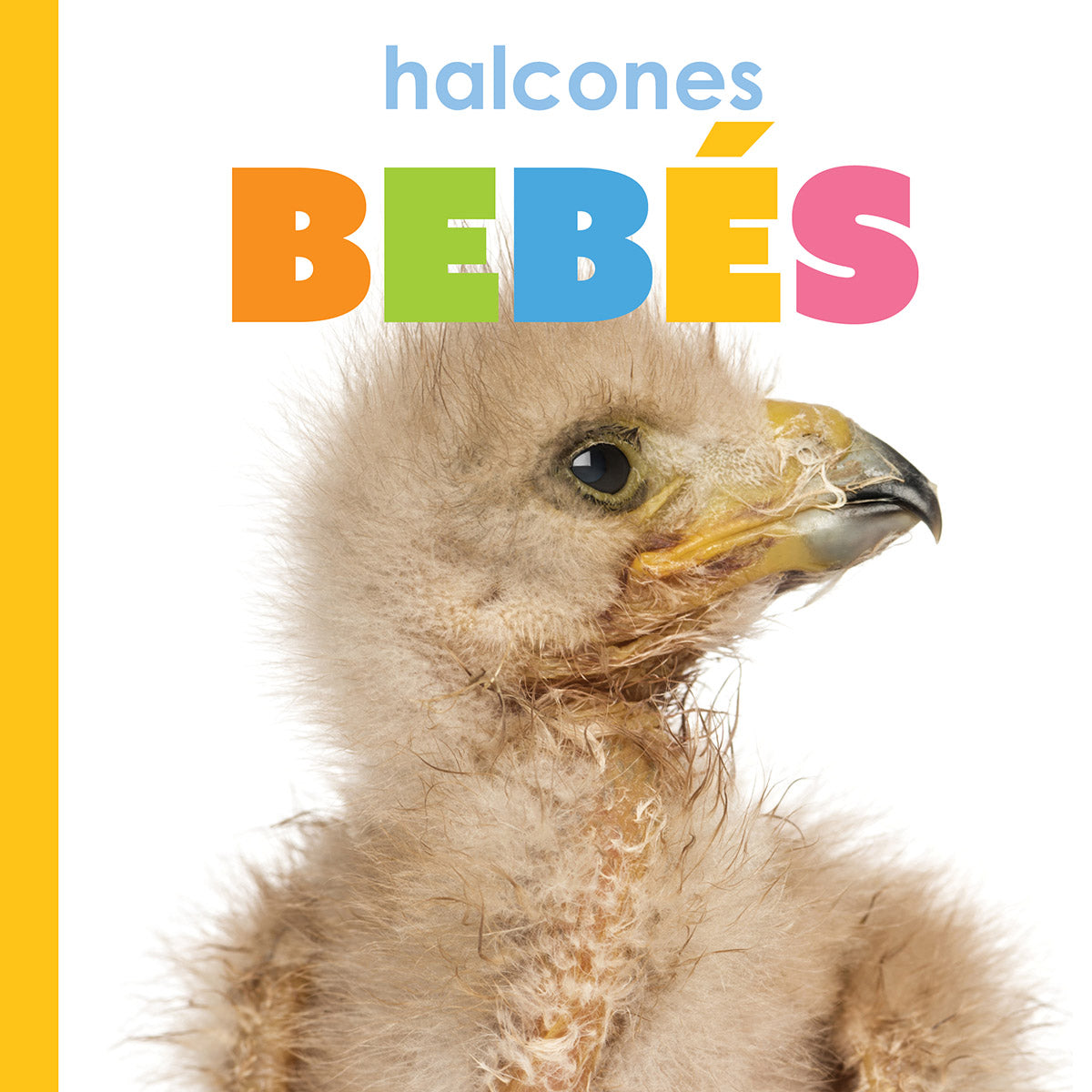Baby Falcons The Beginning - Premium Falconry Accessories for Training & Hunting | Perfect for Falconry Enthusiasts & Bird Lovers