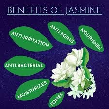 Jasmine Soap - 100g Fresh Ayurvedic Handmade Chameli Soap for Brightening & Clearing Skin | Natural Glow Booster | Perfect for Daily Skincare & Aromatherapy Relaxation