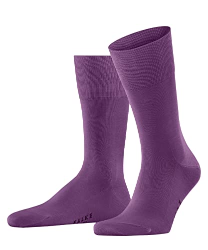 Purple (Orchid 8776)