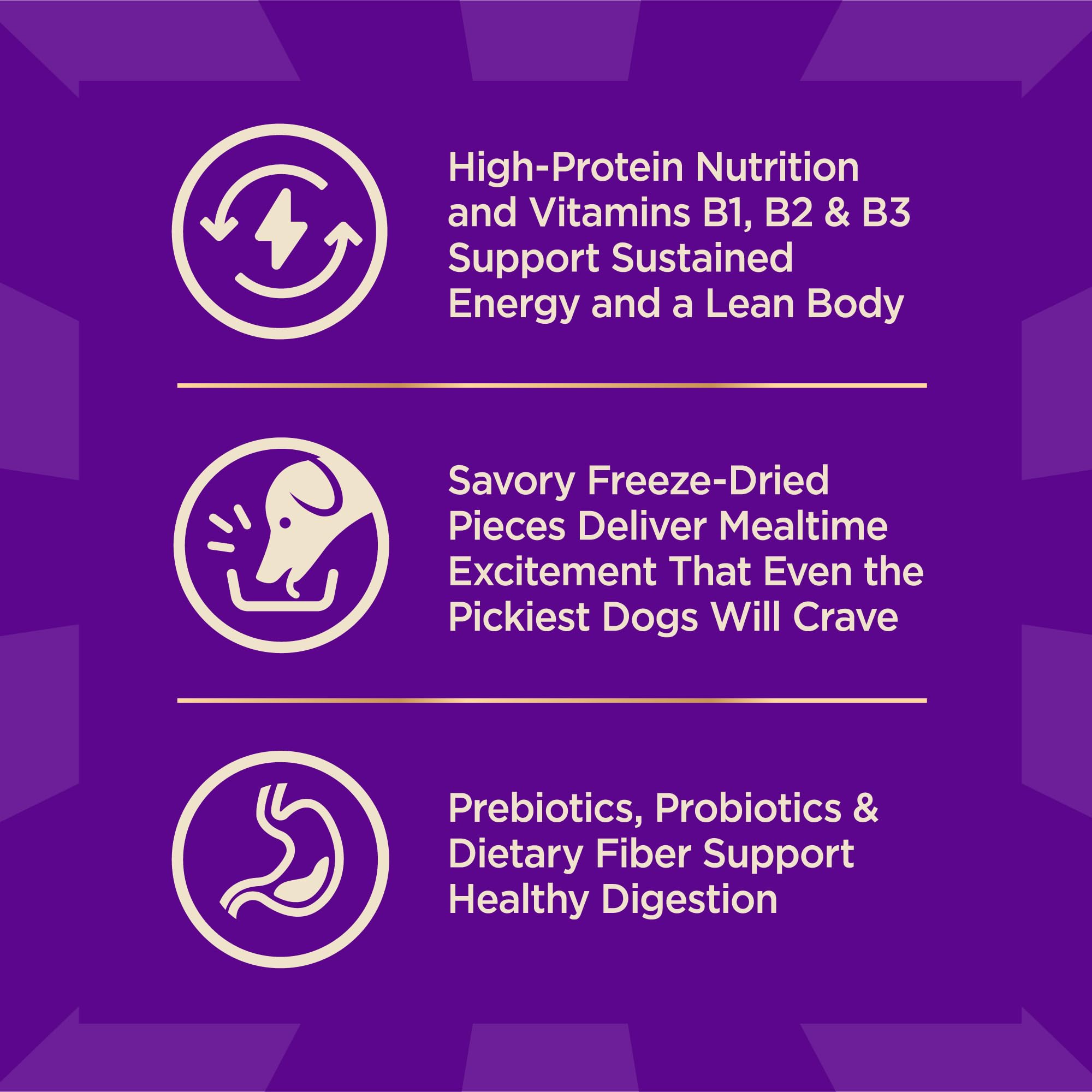 Wellness CORE+ Grain Free High Protein Dry Dog Food for Small Breeds - Original Turkey & Chicken Recipe with Freeze Dried Pieces (4lb Bag) | Perfect for Active Small Dogs & Puppies at Home or Travel