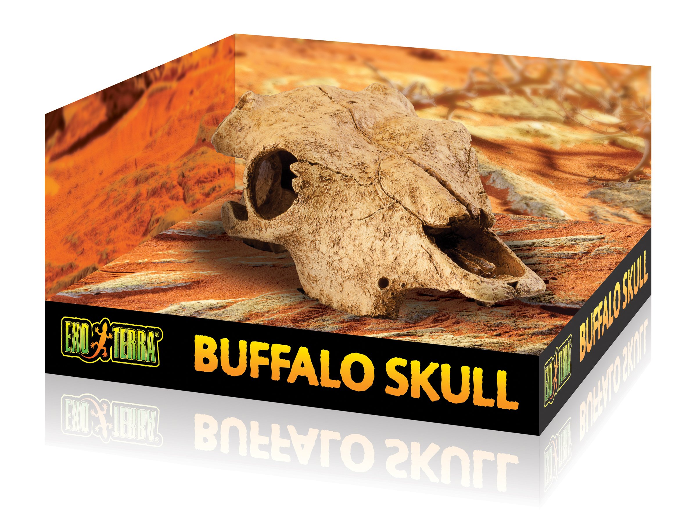 Exo Terra Buffalo Skull Terrarium Decor - Realistic Reptile Habitat Accessory for Bearded Dragons, Snakes & Lizards | Perfect for Desert-Themed Vivarium & Naturalistic Terrarium Setups