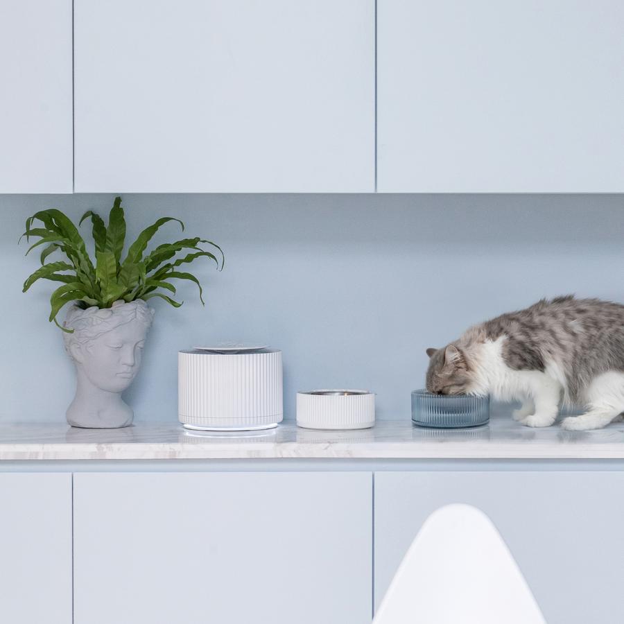 Premium Stainless Steel Pet Bowl - Non-Slip, Rust-Proof Dog & Cat Food Water Dish with Modern Blue Design - Perfect for Home, Travel & Outdoor Use
