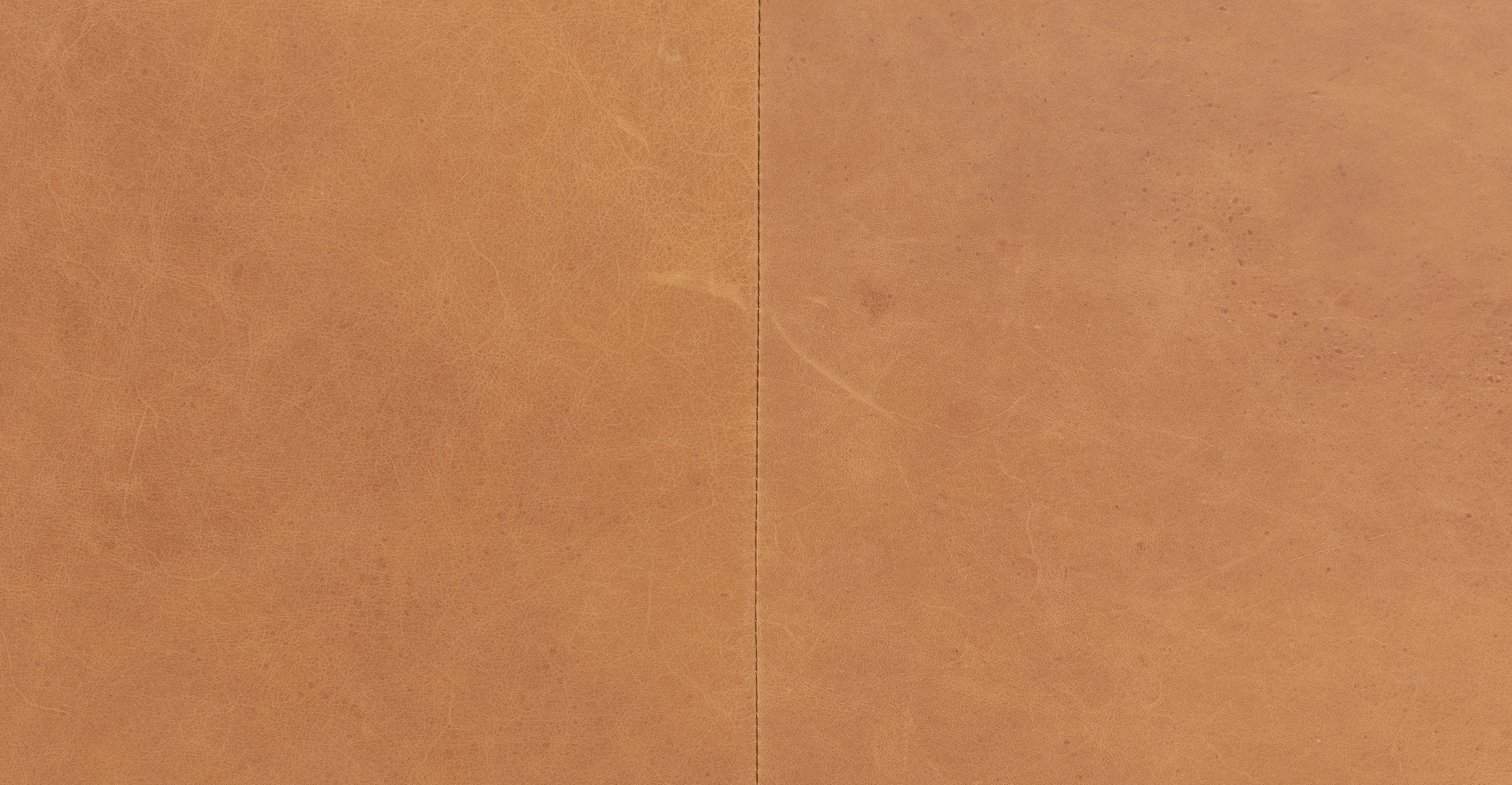 Luxury Tan Finish Leather Sofa for Living Room - White Rock | Edmonton Furniture Store | Perfect for Modern Home & Office Decor