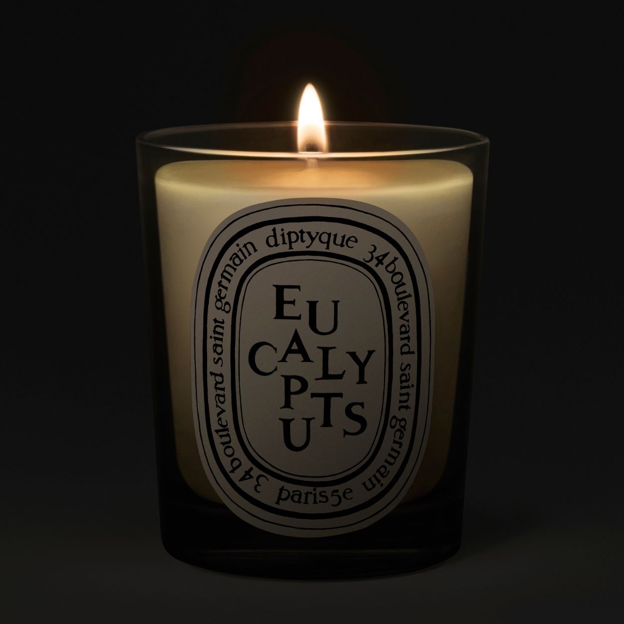 Natural Eucalyptus Scented Soy Candle - Relaxing Aromatherapy for Home, Spa & Office - Eco-Friendly & Long-Lasting