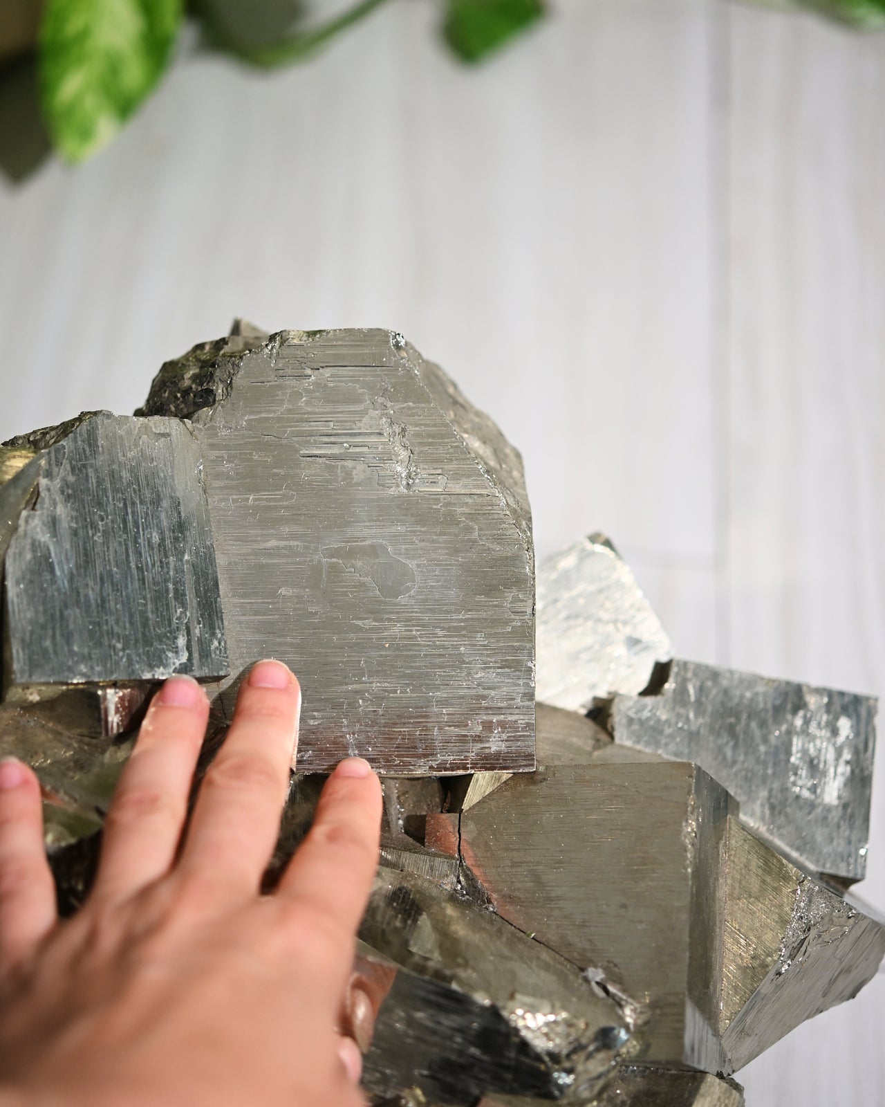 92lb Massive Pyrite Statement Cluster - Natural Mineral Specimen for Home Decor, Crystal Healing & Geode Collection | Perfect for Display Shelf, Meditation Space or Gift for Rock Collectors