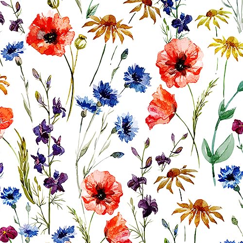 20 - Le Jardin