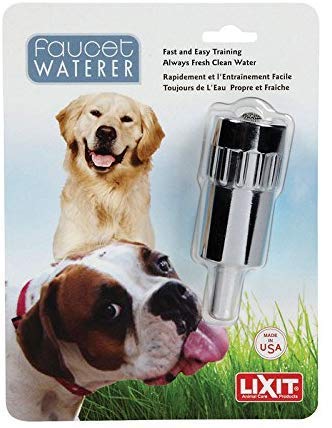 Automatic Dog Water Dispenser - Stainless Steel Pet Fountain for Fresh Drinking Water - Indoor/Outdoor Use for Home, Yard, or Travel