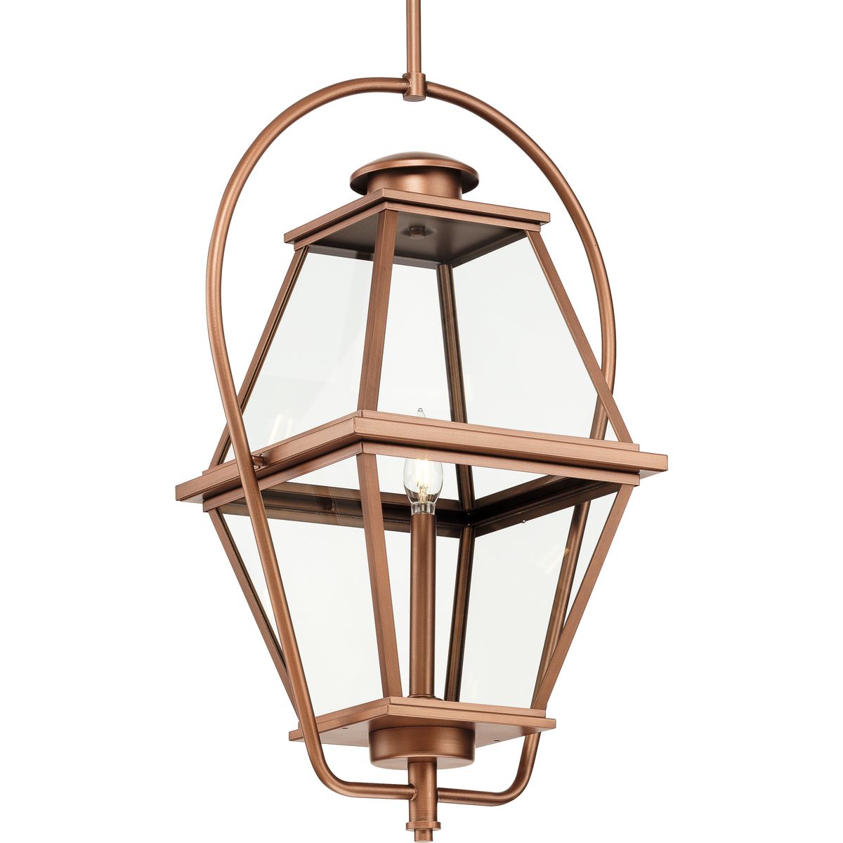 Bradshaw Collection Clear Glass Outdoor Hanging Lantern - Elegant One Light Fixture for Porch, Garden & Patio Lighting
