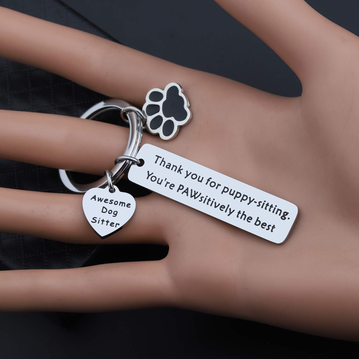 Lywjyb Birdgot Dog Walker Thank You Gift - Cute Dog Sitter Keychain for Pet Lovers - Perfect for Dog Walking, Pet Sitting Appreciation & Veterinary Staff Gifts