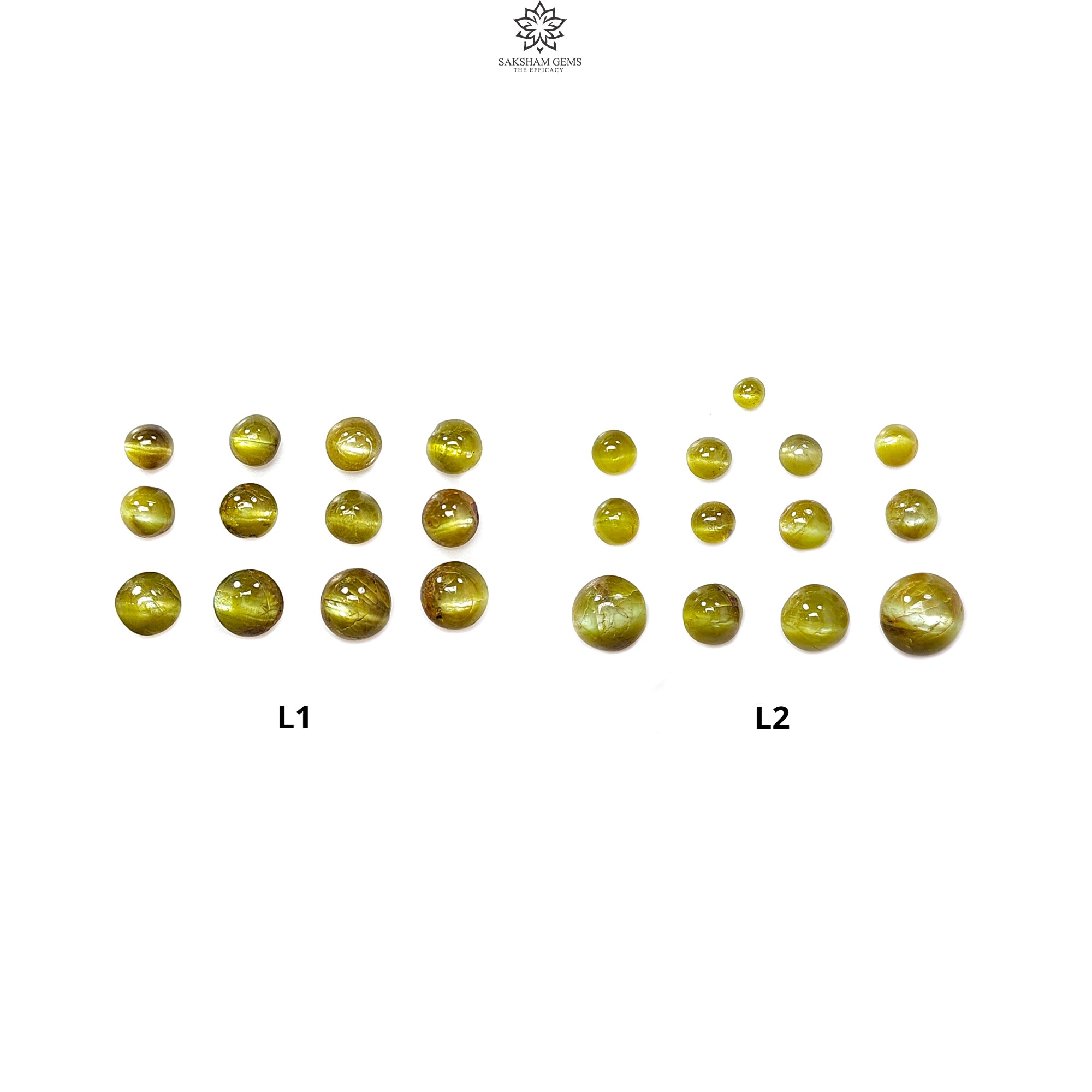Natural Chrysoberyl Cat's Eye Gemstone Cabochons - Untreated, Unheated Round Shape (12pcs/13pcs Lots) - June Birthstone for Jewelry Making - Perfect for Rings, Pendants & Healing Crystal Collections