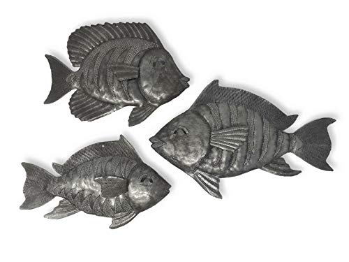 Coastal Fish