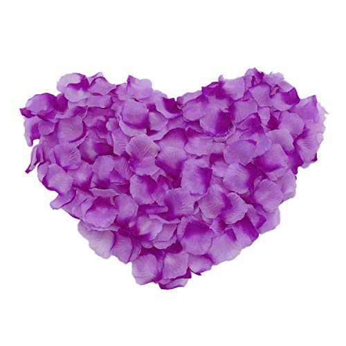 Dark Purple Plus Light Purple