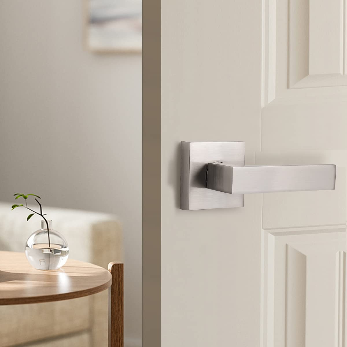 Gobrico 10 Pack One-Sided Dummy Door Knobs - Satin Nickel Finish - Fits Left & Right Handed Doors - Ideal for Closets, Pantries & Interior Doors