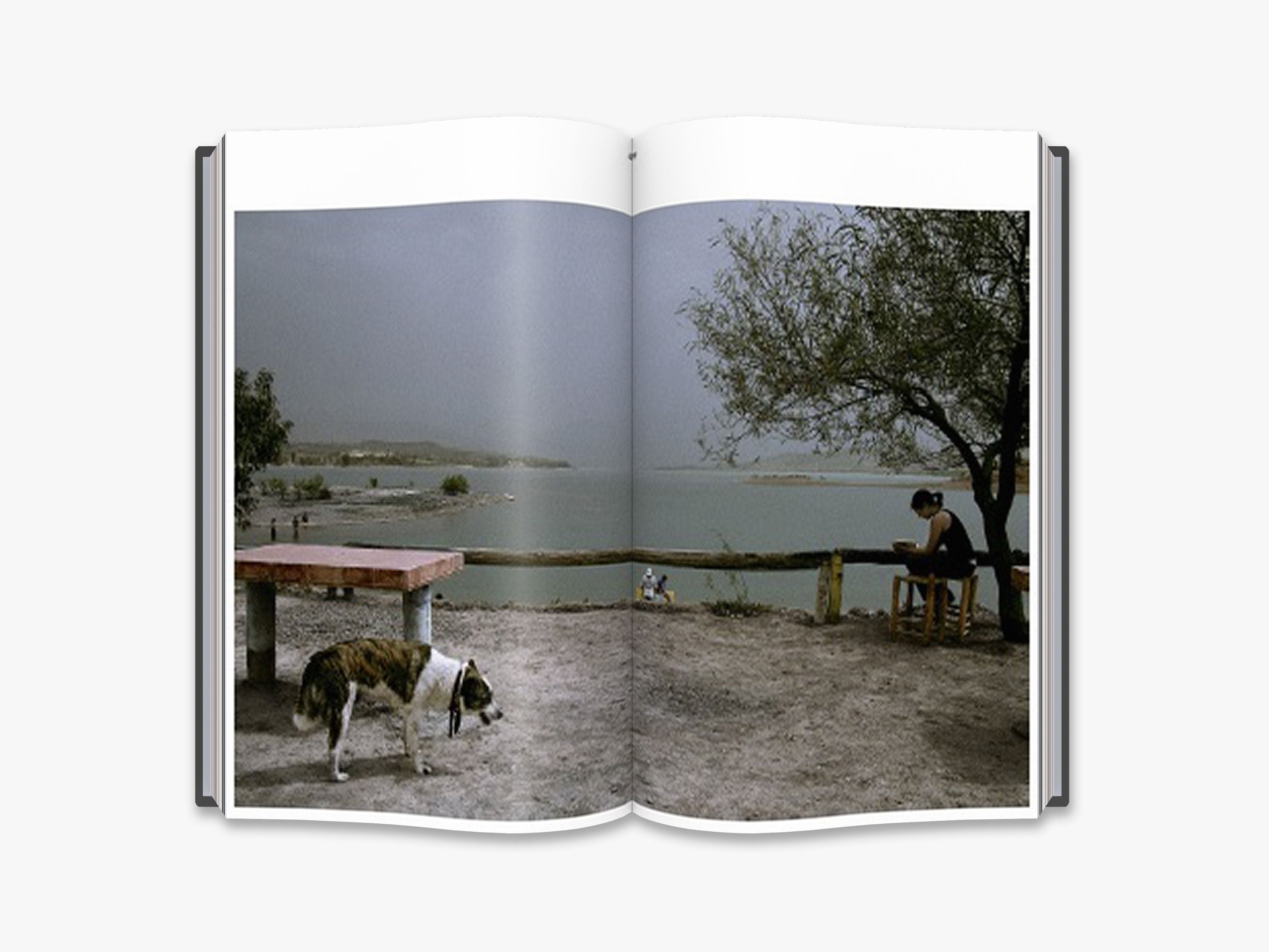Harry Gruyaert: Edges - Stunning Photography Book for Art Lovers | Perfect for Home Decor, Coffee Table Display & Photography Inspiration