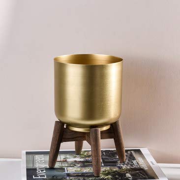 XMZFQ Small Metal Plant Pot with Wood Stand - European Modern Style Succulent & Cactus Flower Pot for Desktop, Office, Home Decor - Perfect for Indoor Plants, Mini Gardens, and Gift Giving